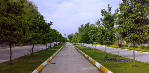Adana_Merkez_Park_03