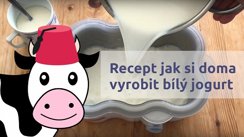 Recept na výrobu domácího bílého jogurtu v jogurtovači