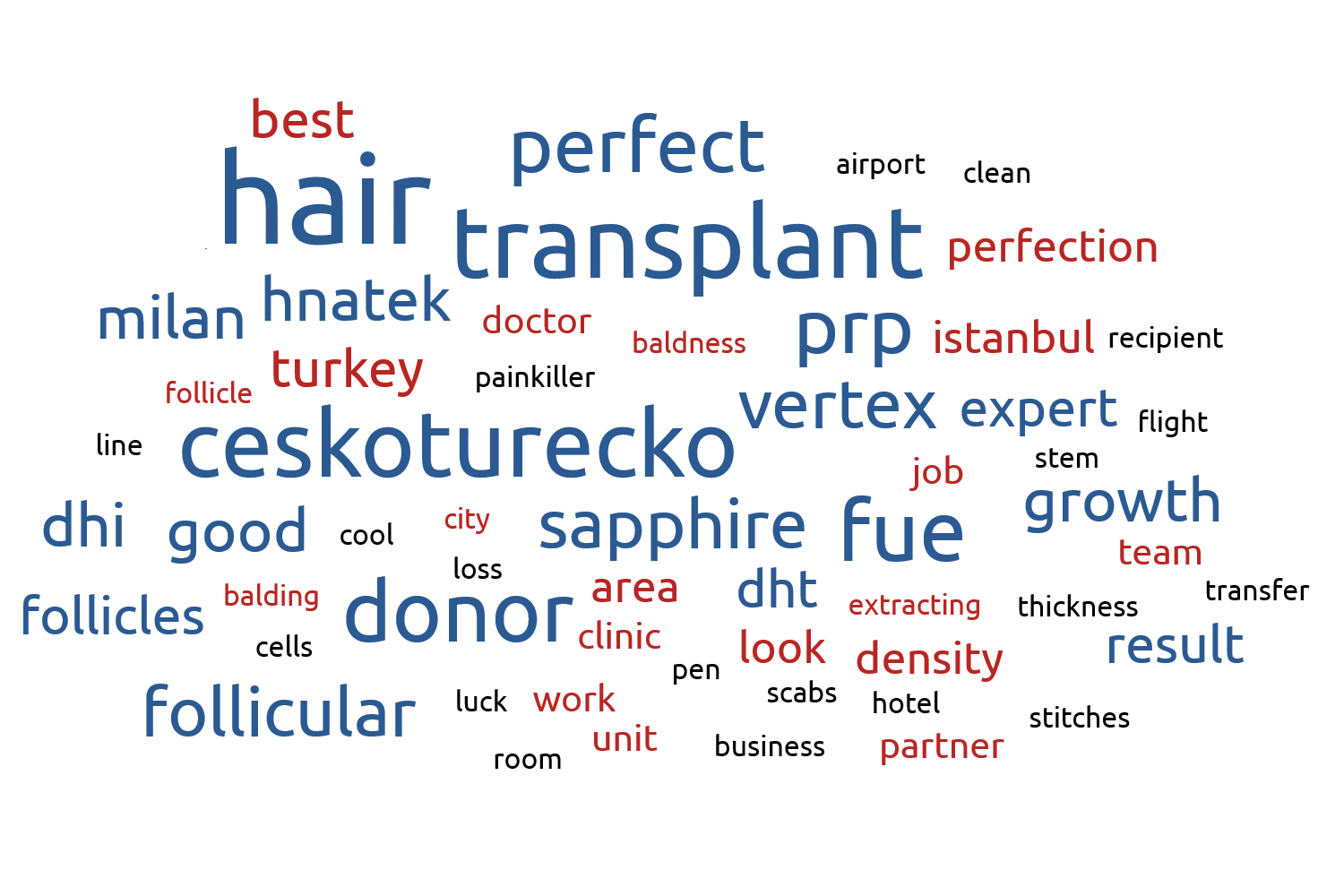 Transplantace vlasů – odborné výrazy a anglická terminologie 1 anglické fráze transplantace vlasů